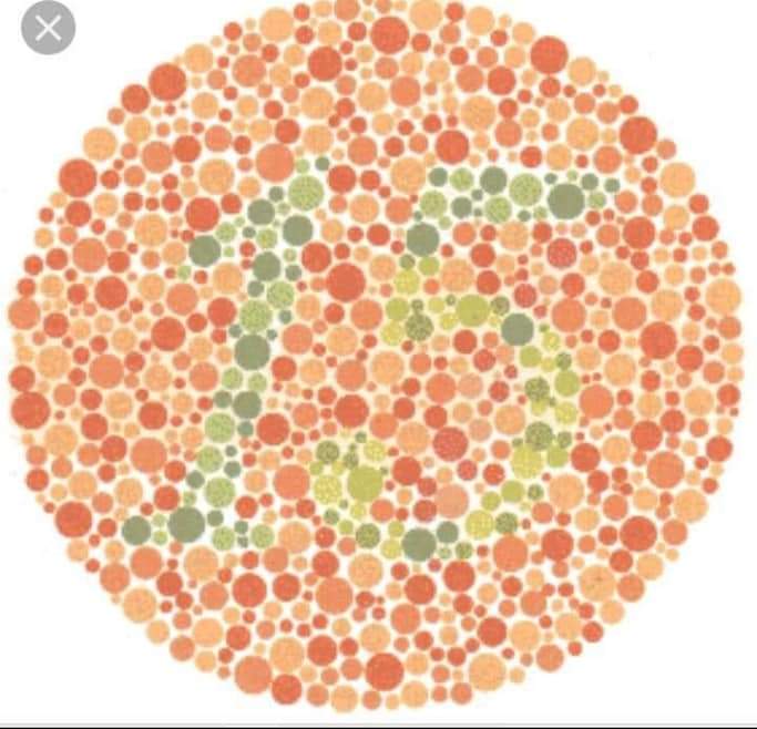 Color Blind Test | TEST PREPARATION